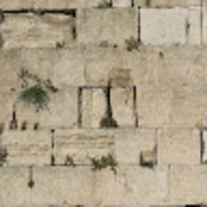 Meet your Posher, Basya